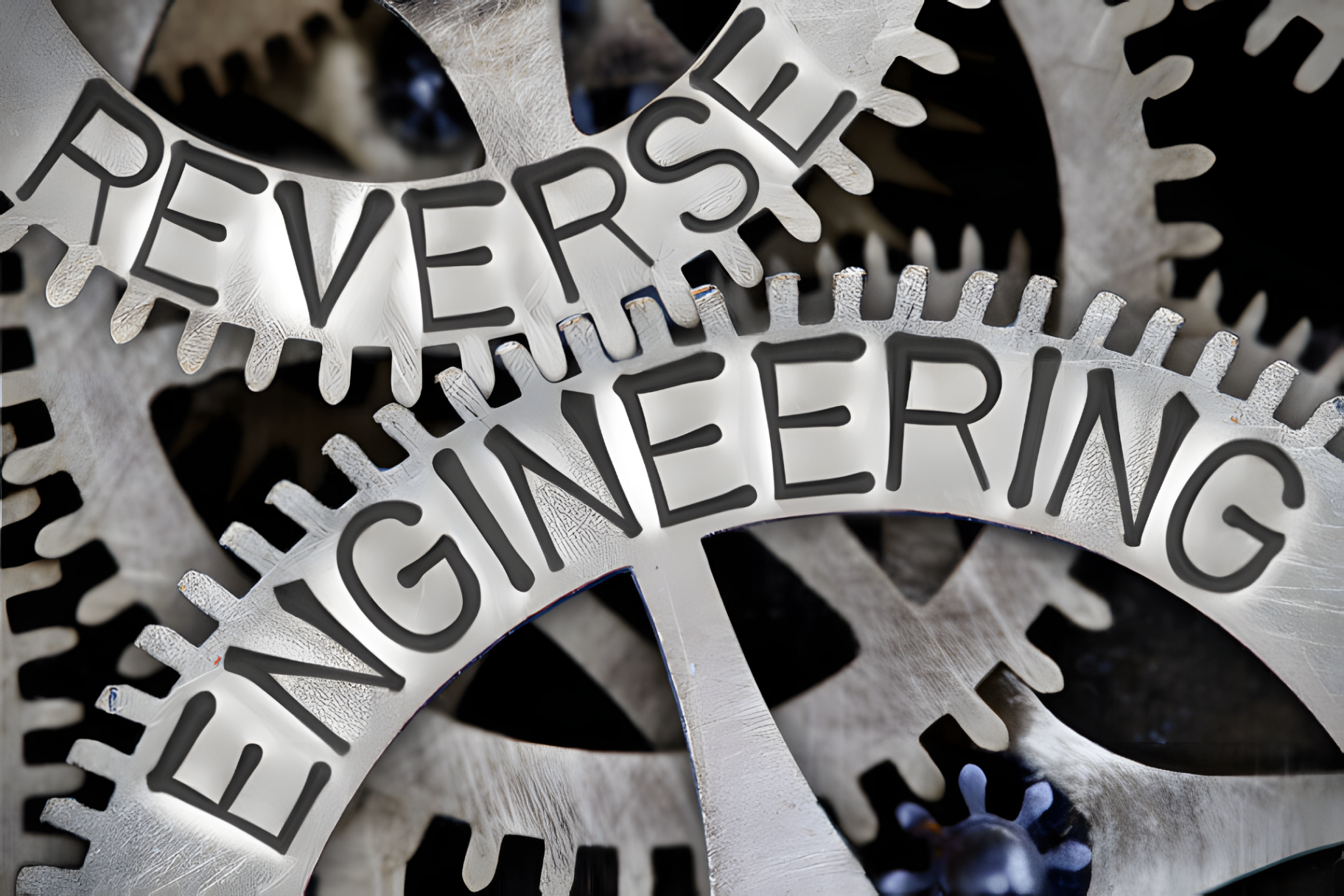 Reverse Engineering SEO